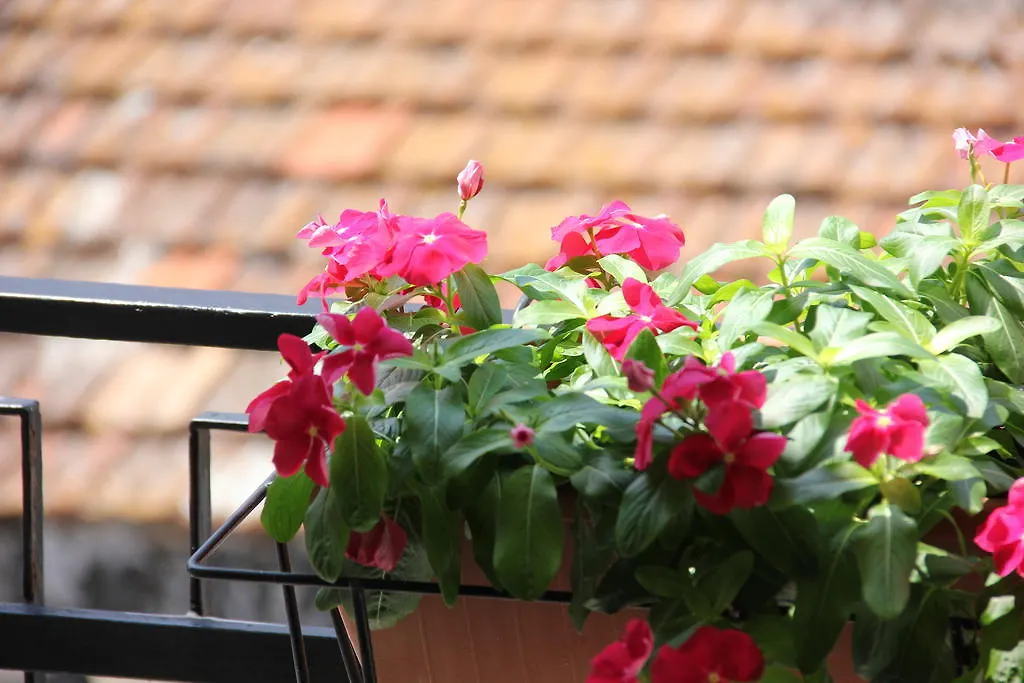 B&B Casa Venezia-1